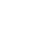 vector